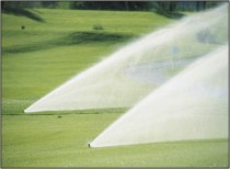 irrigation